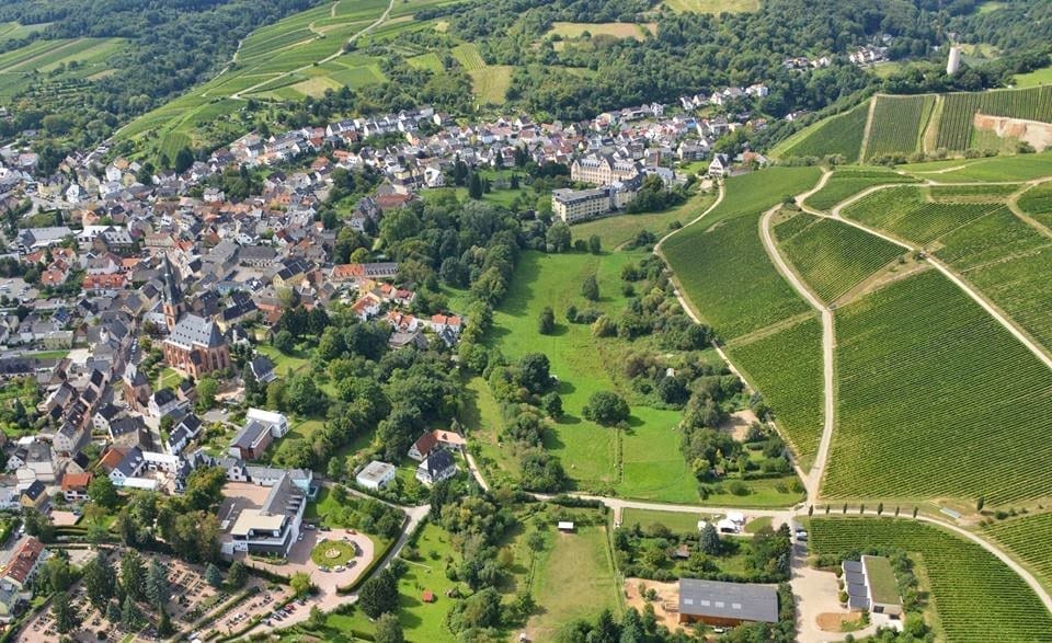 Heart of the Hock Hoccheim